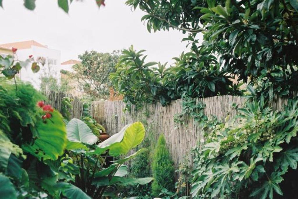 Apartment With Private Garden 波尔图 客房 照片